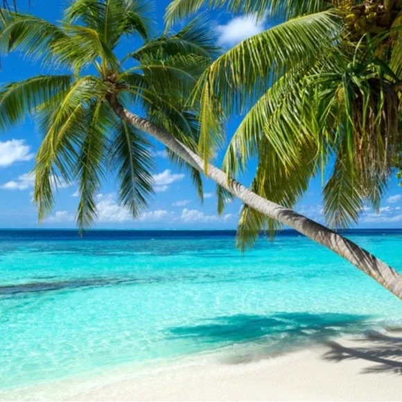 Swimsuit 💕Swimwear 💕 Bikini Set 💕 - Picture 6 of 16